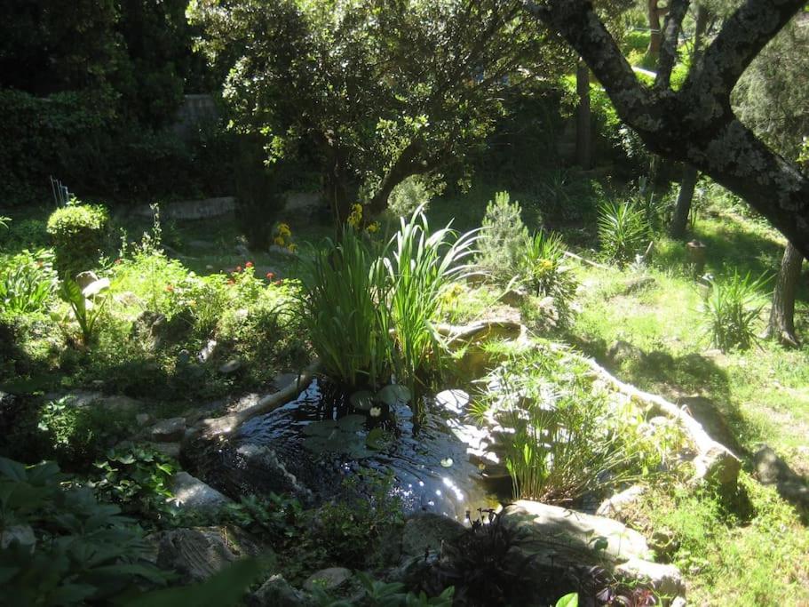La Rocalla del Tiétar Villa Sotillo de la Adrada Esterno foto