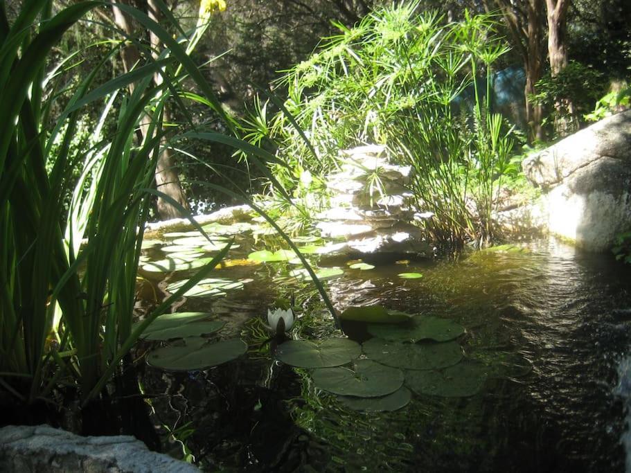 La Rocalla del Tiétar Villa Sotillo de la Adrada Esterno foto