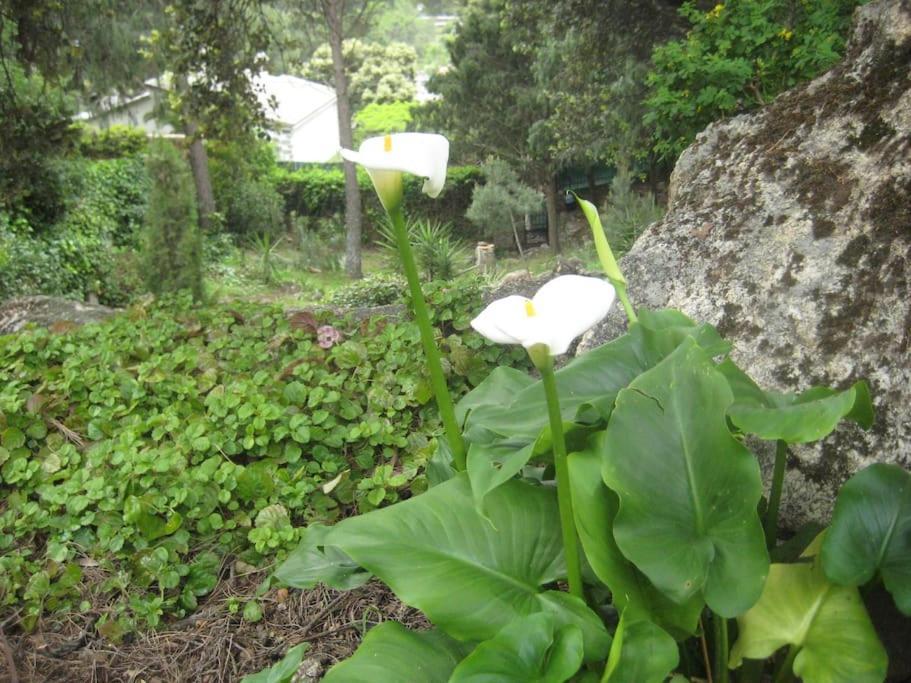 La Rocalla del Tiétar Villa Sotillo de la Adrada Esterno foto